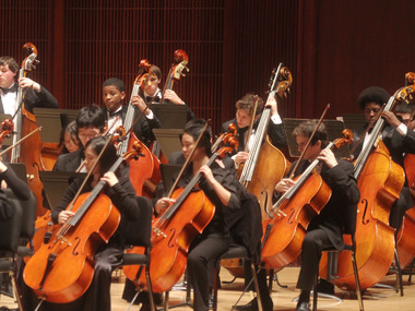 Cello-and-basses-2-5-12_medium